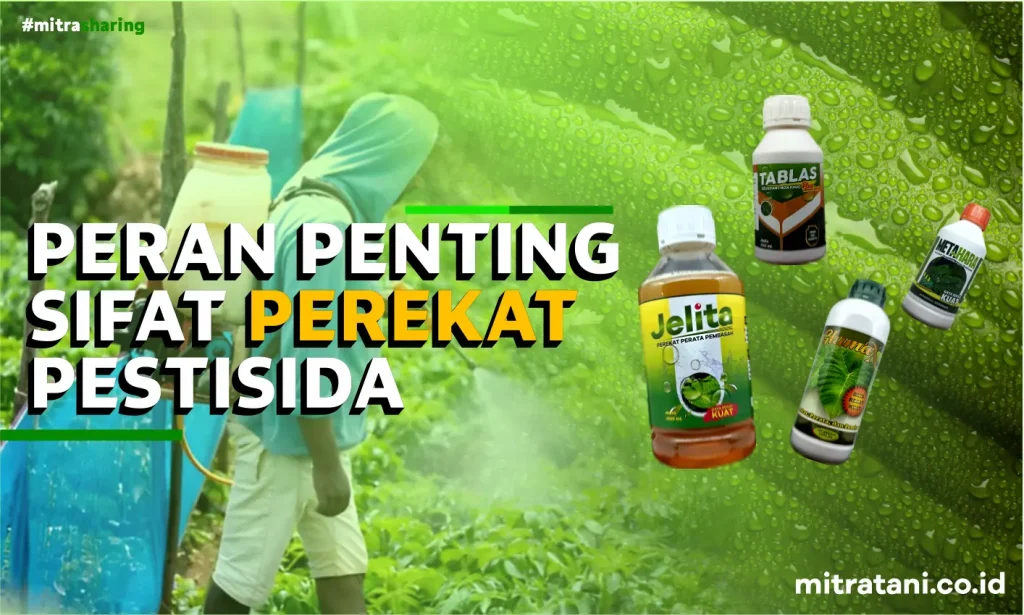 Fungsi Perekat Pestisida pada Perawatan Tanaman, Apa Sih?