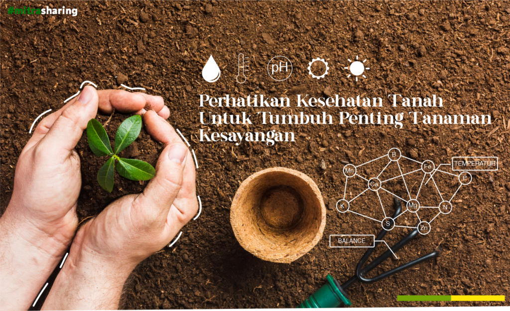 Pengaruh Asam Humat Untuk Kesehatan Tanah