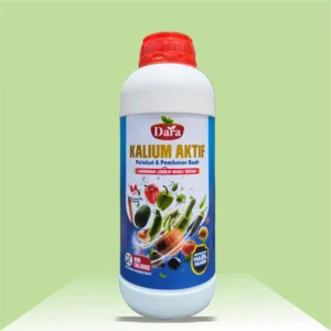 Dara Kalium Aktif