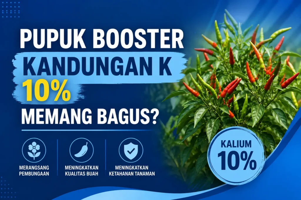 Pupuk Booster K 10%: Apakah Masih Efektif untuk Tanaman?