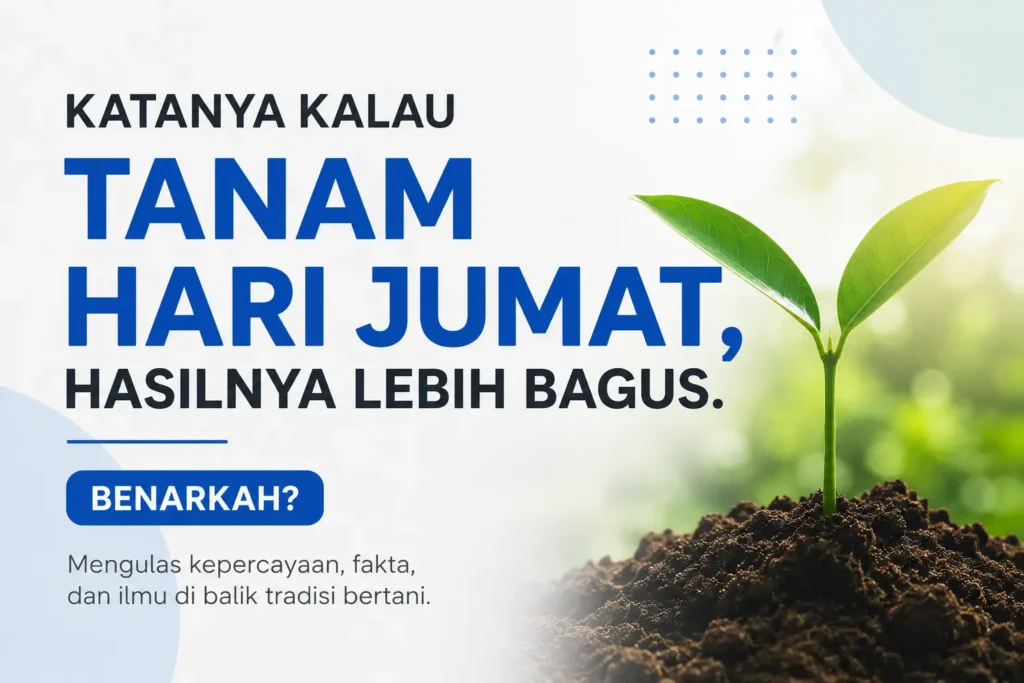 Tanam Hari Jumat, Benarkah Hasil Panennya Lebih Bagus?