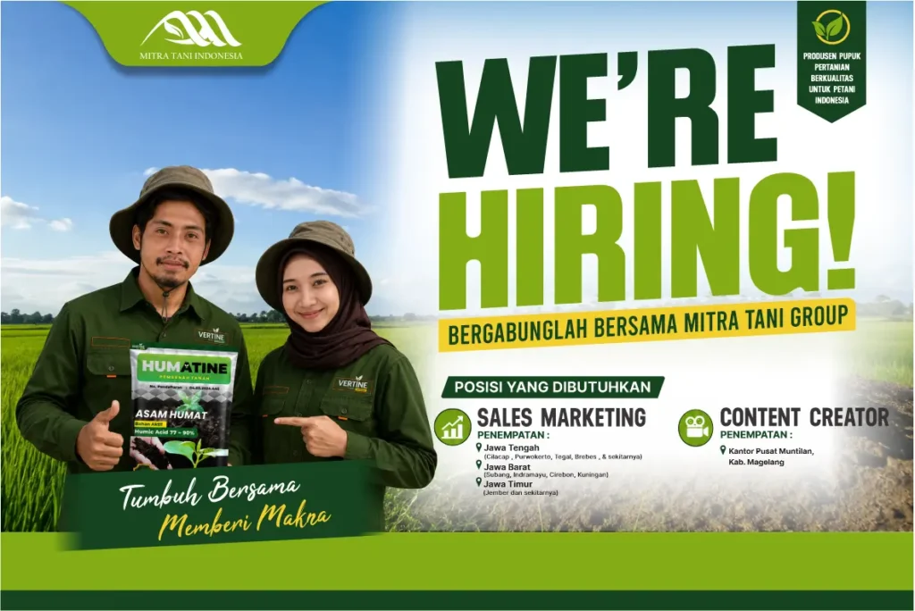 Mencari Sales & Content Creator